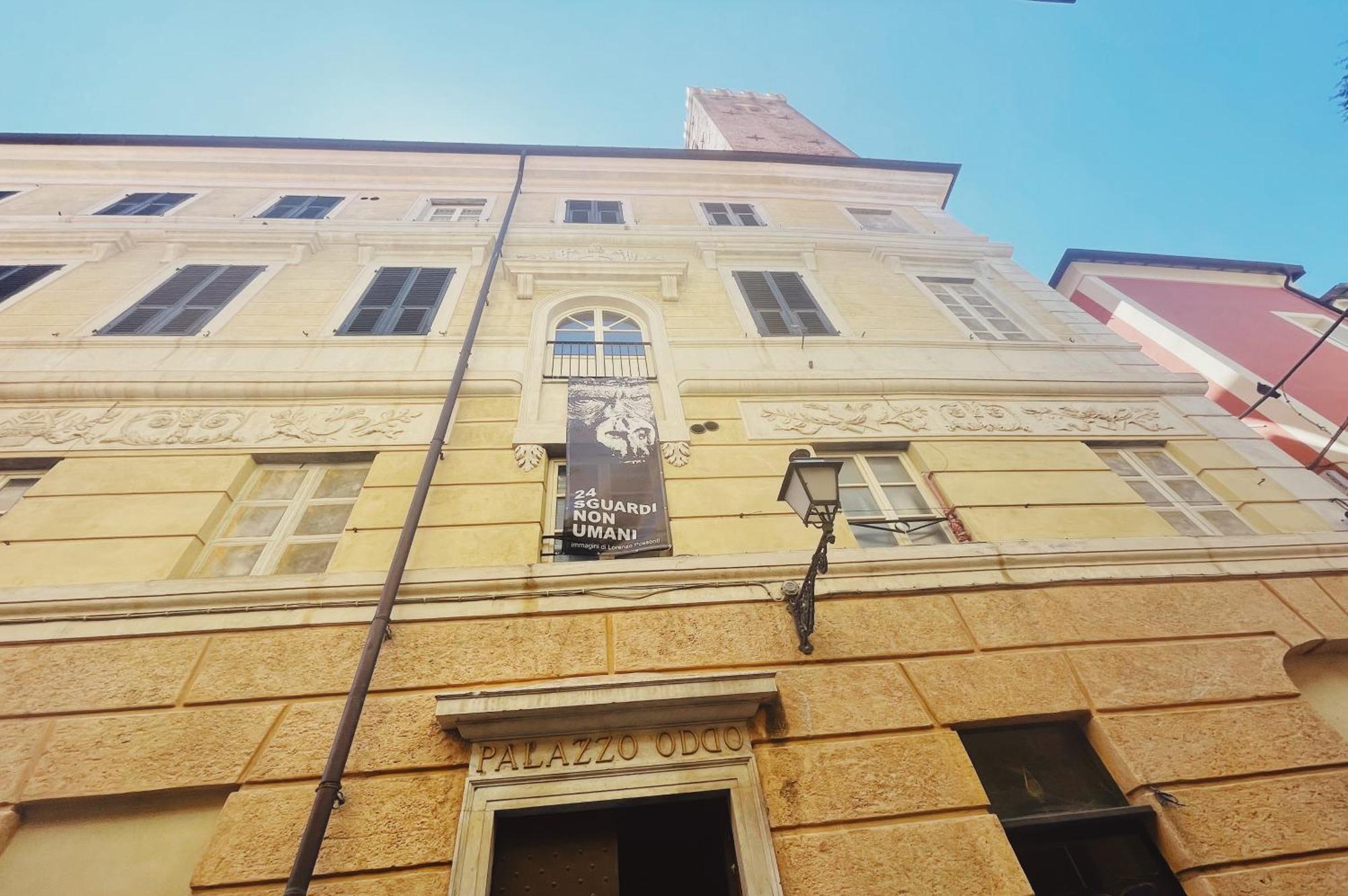 Palazzo Oddo Rental Rooms Albenga Extérieur photo